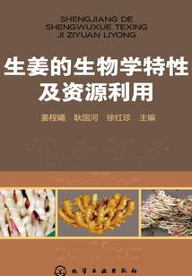 都市魔法最强教师