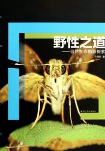 玄幻之神级大反派