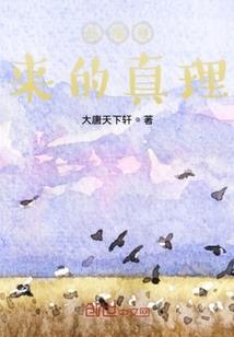 穿越重生之光芒万丈