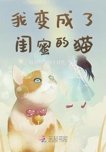 一杯情怀梦