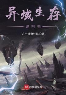 网赚回忆录