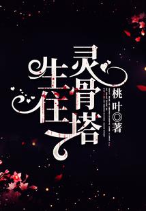 宝可梦之赛尔号系统