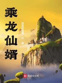 英雄联盟之凤临异世