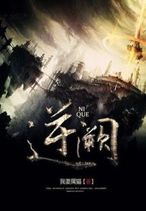 果断的苏启月
