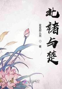 神圣之起始