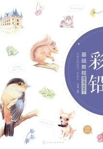 神奇的冒险之路