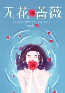 神奇宝贝之梦想起航