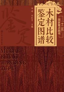 爱的疤痕