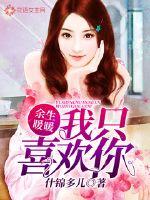 全职法师之全系凤凰