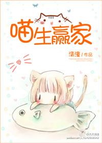 数码宝贝之团长的拍档