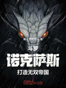 断云天之血龙林洛