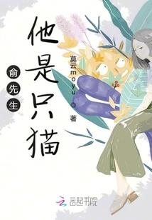 时光情长