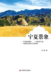 位面的抉择