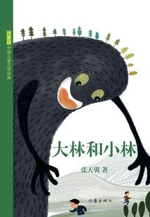 王者风华录