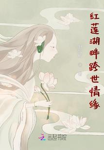我的合集