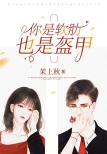 穿越泰拉瑞亚之我的向导大人