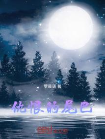 寻它