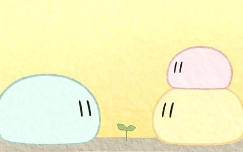 观宇