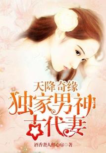 源魂大陆I魂灵之斗