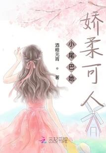大山寨系统