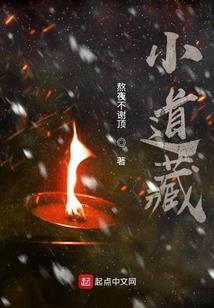 同心绾之郡主归来