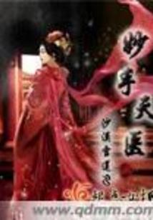 魂战之影流狂魔