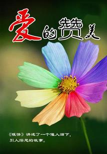 极品村姑修仙史