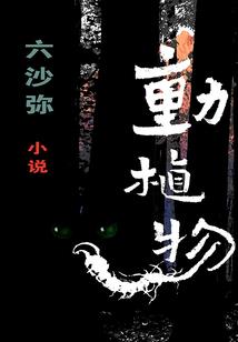 天地师传记