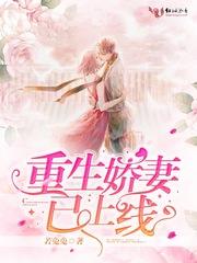 他是公安局长