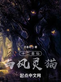 海贼王之自由人