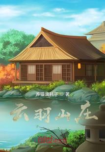 男神老公拐回家：交火365天