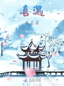 海贼之我心中的正义