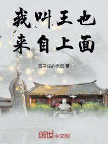 天地阵师