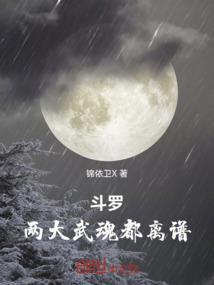 穿越之腹黑王的宠妃