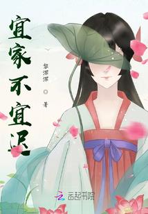 杀手房客俏房东