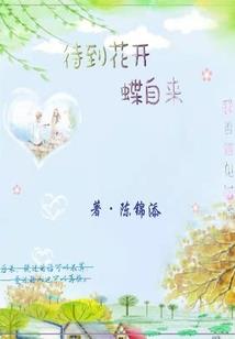 天空之下相遇