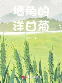 穿越的高翔
