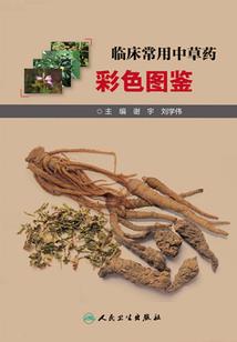 炮灰复仇工作室