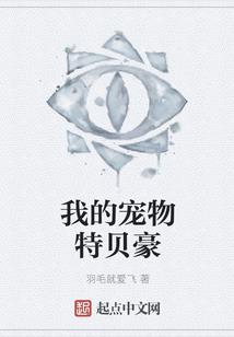 一拳超人：从零开始征服世界