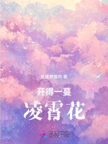 边关小卒的奇幻人生