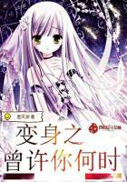 幻梦几世冰无泪