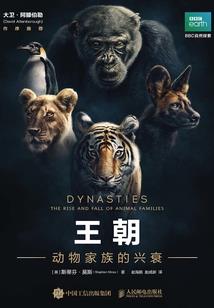第四天灾，我的玩家很有精神