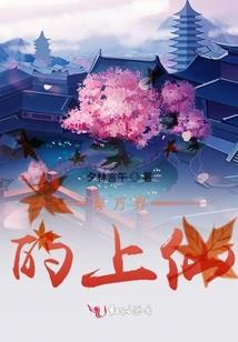 爱情公寓之守身如玉