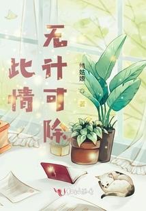 小布偶