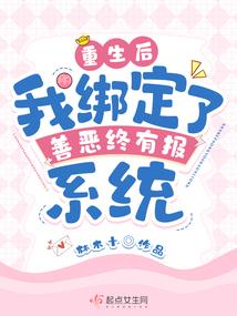 金牌武婿