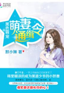 大宋的荣耀
