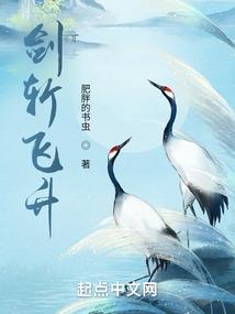 龙战万年