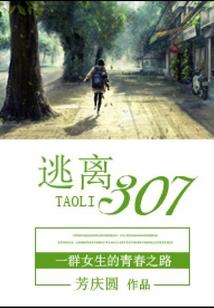 岁碎梦