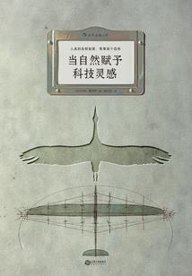 夏暖叶微凉