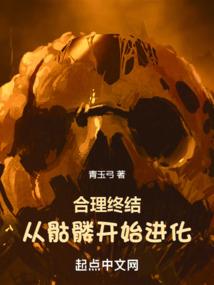 网游之天空部落